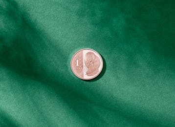 the new 1p.jpg the new 1p.jpg